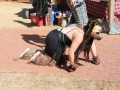 PuppyPalooza2025Canicross0075