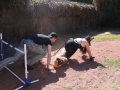 PuppyPalooza2025Canicross0077