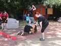 PuppyPalooza2025Canicross0080