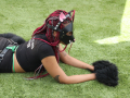 PuppyPalooza2025Canicross0090