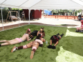 PuppyPalooza2025Canicross0098