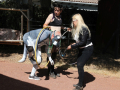 PuppyPalooza2025Canicross0108