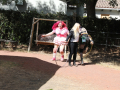 PuppyPalooza2025Canicross0123
