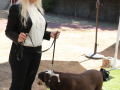 LAPACCPuppyPalooza2025_0004