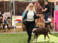 LAPACCPuppyPalooza2025_0005