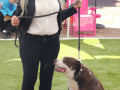 LAPACCPuppyPalooza2025_0006