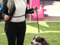 LAPACCPuppyPalooza2025_0007