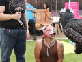 LAPACCPuppyPalooza2025_0016