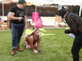 LAPACCPuppyPalooza2025_0019