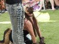LAPACCPuppyPalooza2025_0036