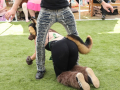 LAPACCPuppyPalooza2025_0037
