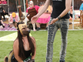 LAPACCPuppyPalooza2025_0038