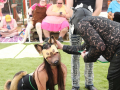 LAPACCPuppyPalooza2025_0039