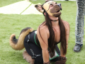LAPACCPuppyPalooza2025_0040