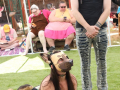 LAPACCPuppyPalooza2025_0042