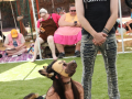 LAPACCPuppyPalooza2025_0043