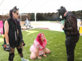 LAPACCPuppyPalooza2025_0062