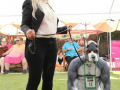 LAPACCPuppyPalooza2025_0067