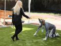 LAPACCPuppyPalooza2025_0071