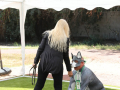 LAPACCPuppyPalooza2025_0072