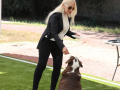 PuppyPalooza2025TalentTrick0002