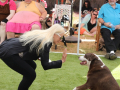 PuppyPalooza2025TalentTrick0004