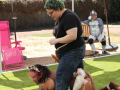 PuppyPalooza2025TalentTrick0009