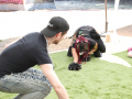 PuppyPalooza2025TalentTrick0016
