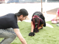 PuppyPalooza2025TalentTrick0017