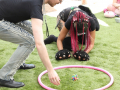 PuppyPalooza2025TalentTrick0018