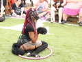 PuppyPalooza2025TalentTrick0022