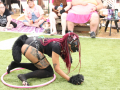PuppyPalooza2025TalentTrick0024