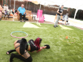 PuppyPalooza2025TalentTrick0025