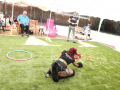PuppyPalooza2025TalentTrick0026