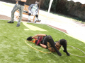PuppyPalooza2025TalentTrick0027