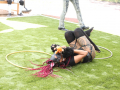PuppyPalooza2025TalentTrick0029