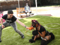 PuppyPalooza2025TalentTrick0043