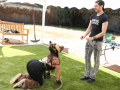 PuppyPalooza2025TalentTrick0067