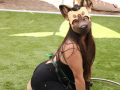 PuppyPalooza2025TalentTrick0070