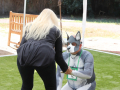 PuppyPalooza2025TalentTrick0088