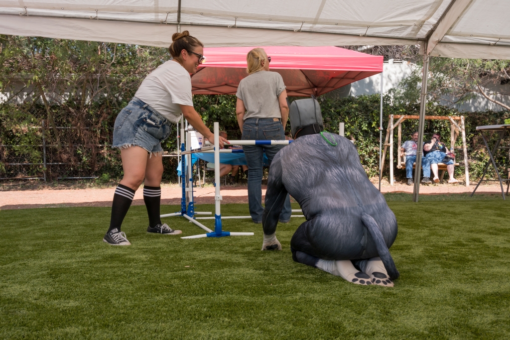 PuppyPalooza2024_0181