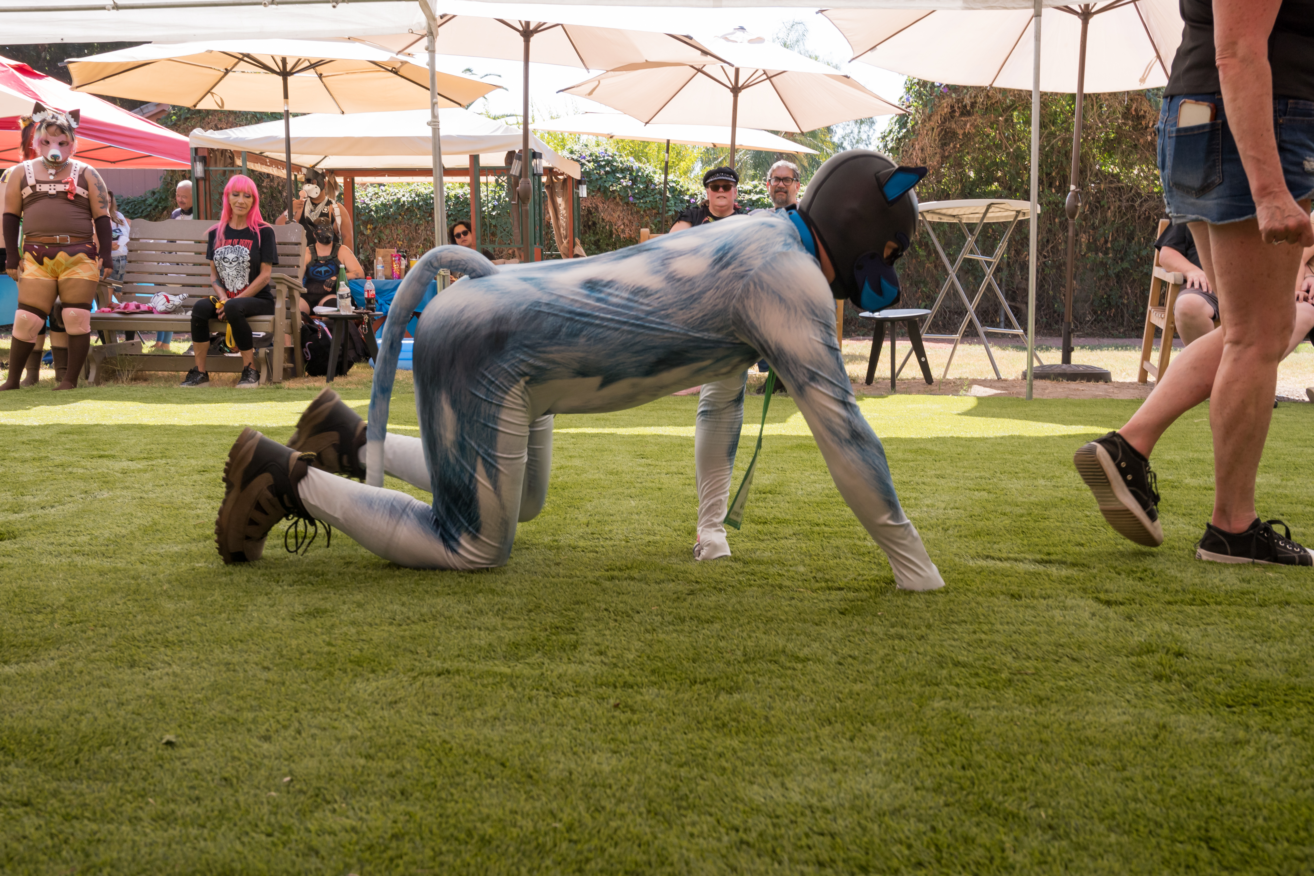 PuppyPalooza2024_0008