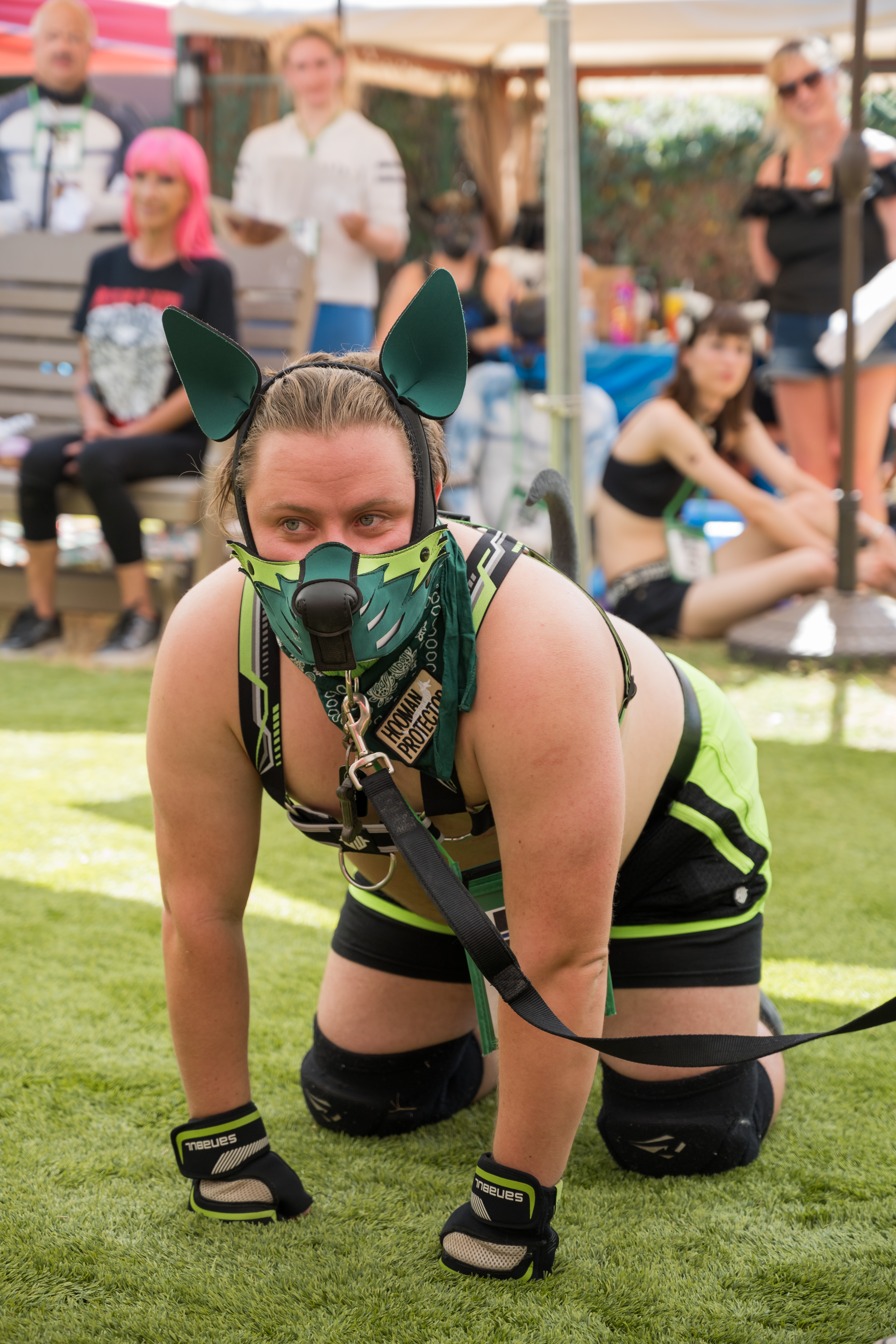 PuppyPalooza2024_0015