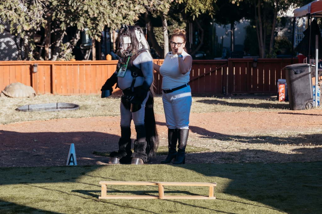 TheQueensCup20240197