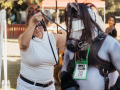 TheQueensCup20240201