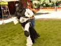 Ann_20230624-225